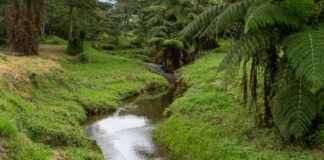 Cornare supervisó obras de mantenimiento en caños y quebradas de La Ceja para prevenir emergencias.