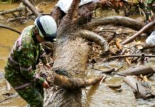Freno a las inundaciones: Retiran 3 toneladas de residuos del río Negro en jornada histórica