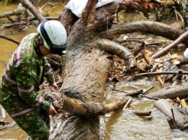 Freno a las inundaciones: Retiran 3 toneladas de residuos del río Negro en jornada histórica