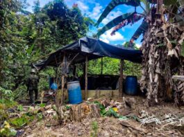 Golpe al Clan del Golfo: Destruyen laboratorio de coca en San Carlos