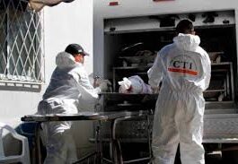 Luto y alerta en La Unión: Hallan cuerpo con signos de violencia en la vereda Buena Vista