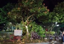 Emergencia en Nariño: Fuerte vendaval causa estragos en viviendas y locales comerciales