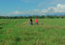 Crisis en la restitución de tierras: el 70 % de las solicitudes en el Oriente antioqueño siguen en el limbo
