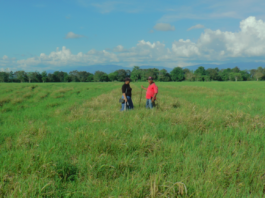 Crisis en la restitución de tierras: el 70 % de las solicitudes en el Oriente antioqueño siguen en el limbo