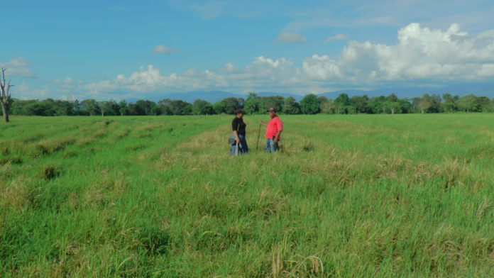 Copia-de-15740003-_1_-1-1536x864