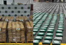 Golpe al narcotráfico: frustran envío de cocaína hacia el Reino Unido desde Urabá