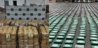 Golpe al narcotráfico: frustran envío de cocaína hacia el Reino Unido desde Urabá