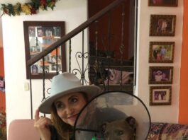 Doña Gloria y sus perros: una vida donde amar también significa resistir