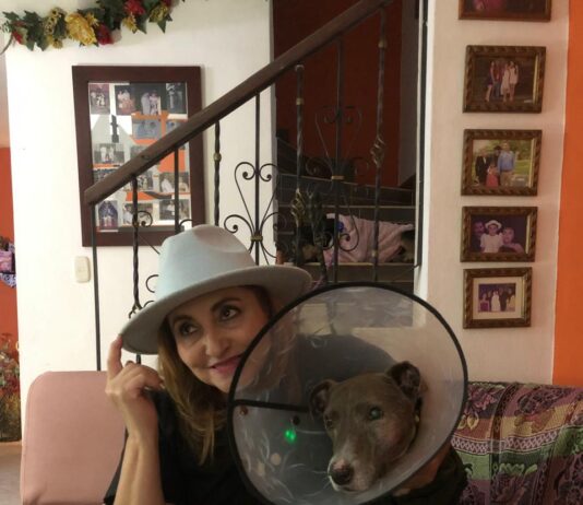 Doña Gloria y sus perros: una vida donde amar también significa resistir