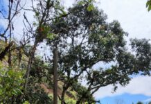 Indignación en Abejorral: vandalizan e iluminan con el robo de luminarias solares en la vía a Sonsón