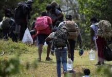 Crisis humanitaria en Antioquia: combates provocan el desplazamiento de más de 400 personas