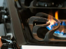 Tragedia en Los Pinos: declaran como accidental la muerte de una pareja y sus mascotas por gas