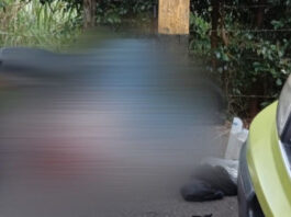 Siniestro fatal en El Rosal: motociclista pierde la vida al chocar contra un poste