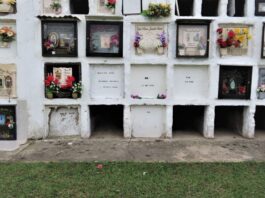 Avanza búsqueda de víctimas del conflicto en cementerios del Oriente y Nordeste