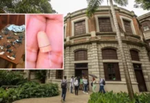 Más de 40 aspirantes fueron sorprendidos en fraudes durante examen de admisión de Medicina en la UdeA