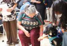Perros rescatados se convierten en aliados terapéuticos para adultos mayores en Medellín