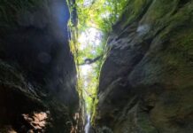 Exploran por primera vez la Cueva del Oso en el Oriente antioqueño: una ruta extrema sin registro previo
