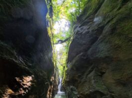 Exploran por primera vez la Cueva del Oso en el Oriente antioqueño: una ruta extrema sin registro previo