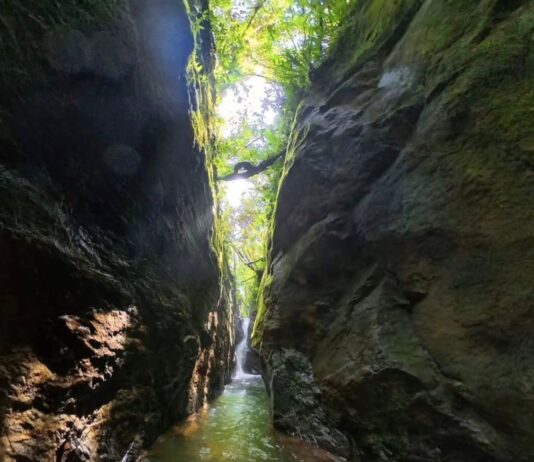 Exploran por primera vez la Cueva del Oso en el Oriente antioqueño: una ruta extrema sin registro previo