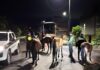 Autoridades intensifican controles por caballos sueltos en El Carmen de Viboral