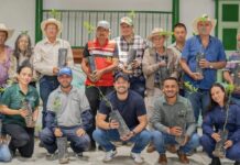 Sonsón impulsa el campo con siembra de limón Tahití para mercados de exportación
