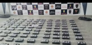 Incautan más de 100 kilos de cocaína en zona boscosa de Rionegro