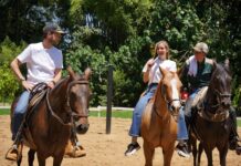 El Retiro fortalece la tradición caballista con nuevo espacio para entrenamiento equino
