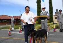 Dimatea, canina antiexplosivos de la Fuerza Aeroespacial, inicia su retiro tras cinco años de servicio