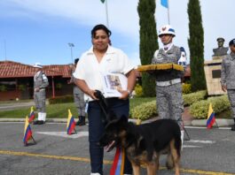 Dimatea, canina antiexplosivos de la Fuerza Aeroespacial, inicia su retiro tras cinco años de servicio
