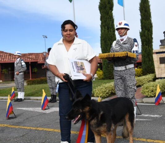 Dimatea, canina antiexplosivos de la Fuerza Aeroespacial, inicia su retiro tras cinco años de servicio