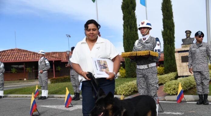 Dimatea, canina antiexplosivos de la Fuerza Aeroespacial, inicia su retiro tras cinco años de servicio