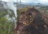 Cornare alerta por aumento de incendios forestales en el Oriente antioqueño