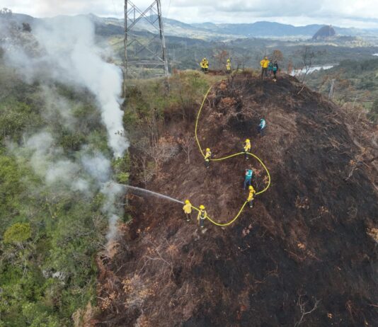 Cornare alerta por aumento de incendios forestales en el Oriente antioqueño